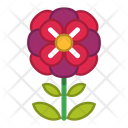 پیش‌نمایش فایل flower-1607077 از پک گل ها