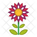پیش‌نمایش فایل flower-1607081 از پک گل ها