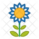 پیش‌نمایش فایل flower-1607082 از پک گل ها