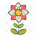 پیش‌نمایش فایل flower-1607102 از پک گل ها