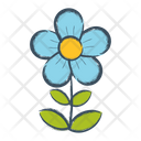 پیش‌نمایش فایل flower-1607105 از پک گل ها