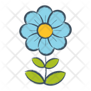 پیش‌نمایش فایل flower-1607107 از پک گل ها