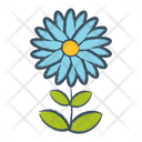 پیش‌نمایش فایل flower-1607109 از پک گل ها