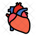 پیش‌نمایش فایل heart-1607186 از پک اندام انسان