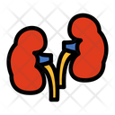 پیش‌نمایش فایل kidneys-1607183 از پک اندام انسان