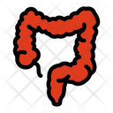 پیش‌نمایش فایل large-intestine-1607180 از پک اندام انسان