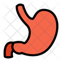 پیش‌نمایش فایل stomach-1607184 از پک اندام انسان