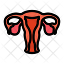 پیش‌نمایش فایل uterus-1607182 از پک اندام انسان