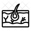 پیش‌نمایش فایل skin-1607193 از پک اندام انسان