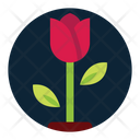 پیش‌نمایش فایل flower-1634046 از پک روز مادر