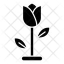 پیش‌نمایش فایل flower-1634070 از پک روز مادر