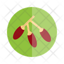 پیش‌نمایش فایل dates-1634471 از پک رمضان