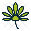 پیش‌نمایش فایل cannabis-1639715 از پک برگ های استوایی