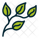پیش‌نمایش فایل green-leaf-1639713 از پک برگ های استوایی
