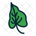 پیش‌نمایش فایل green-leaf-1639718 از پک برگ های استوایی