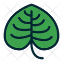 پیش‌نمایش فایل green-leaf-1639722 از پک برگ های استوایی