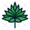 پیش‌نمایش فایل leaves-1639724 از پک برگ های استوایی
