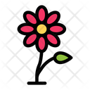پیش‌نمایش فایل blossom-1639579 از پک بهار
