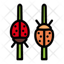 پیش‌نمایش فایل ladybug-1639577 از پک بهار
