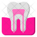 پیش‌نمایش فایل teeth-1664746 از پک دندانپزشکی