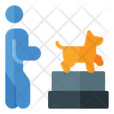 پیش‌نمایش فایل dog-show-1665168 از پک تمرین سگ با مربی