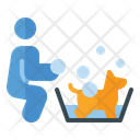 پیش‌نمایش فایل dog-wash-1665173 از پک تمرین سگ با مربی