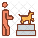 پیش‌نمایش فایل dog-show-1665149 از پک تمرین سگ با مربی