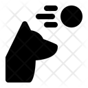 پیش‌نمایش فایل dog-chasing-1665102 از پک آموزش سگ