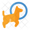 پیش‌نمایش فایل dog-jumping-1665076 از پک آموزش سگ