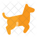 پیش‌نمایش فایل dog-running-1665064 از پک آموزش سگ