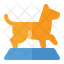 پیش‌نمایش فایل dog-show-1665082 از پک آموزش سگ