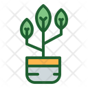 پیش‌نمایش فایل plant-1672912 از پک کشاورزی