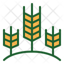 پیش‌نمایش فایل wheat-1672915 از پک کشاورزی