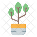 پیش‌نمایش فایل plant-1672936 از پک کشاورزی