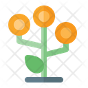 پیش‌نمایش فایل many-money-growth-1673870 از پک سرمایه گذاری