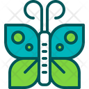 پیش‌نمایش فایل butterfly-3542853 از پک بوم شناسی و محیط زیست