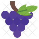 پیش‌نمایش فایل grapes-9650422 از پک پاییز
