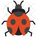پیش‌نمایش فایل ladybug-9650428 از پک پاییز