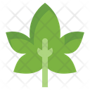 پیش‌نمایش فایل leaf-9650429 از پک پاییز