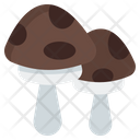 پیش‌نمایش فایل mushroom-9650431 از پک پاییز