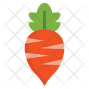 پیش‌نمایش فایل radish-9650438 از پک پاییز