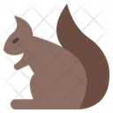 پیش‌نمایش فایل squirrel-9650443 از پک پاییز