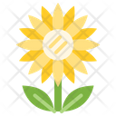 پیش‌نمایش فایل sunflower-9650444 از پک پاییز