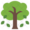 پیش‌نمایش فایل tree-9650445 از پک پاییز