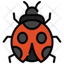 پیش‌نمایش فایل ladybug-9662027 از پک پاییز