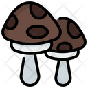 پیش‌نمایش فایل mushroom-9662030 از پک پاییز