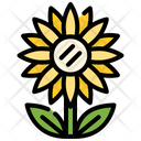 پیش‌نمایش فایل sunflower-9662043 از پک پاییز