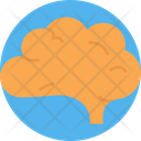 پیش‌نمایش فایل thinking-mind-7175672 از پک استارتاپ