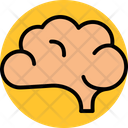 پیش‌نمایش فایل brain-7270511 از پک پزشکی و سلامت