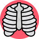 پیش‌نمایش فایل chest-structure-7270563 از پک پزشکی و سلامت
